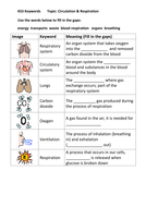 KS3 Science Literacy Homework Differentiated EAL SEN | Teaching Resources