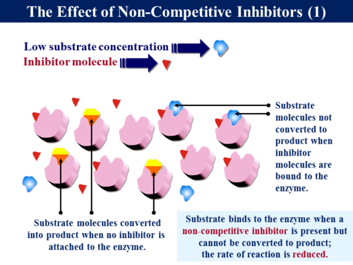 3.1.4.2 The Nature of Enzymes | Teaching Resources