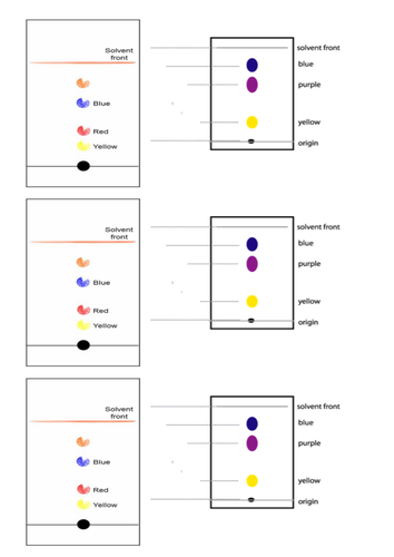 docx, 48.58 KB