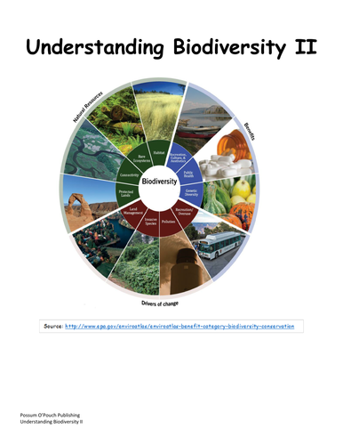 Understanding Biodiversity II