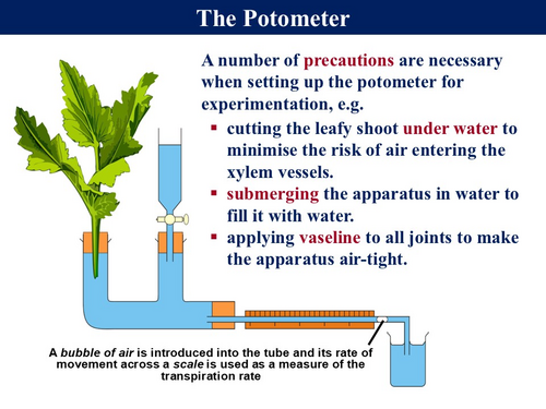 BioA_3.3.4.2 Water Transport in Plants - 2 (Transpiration & The ...