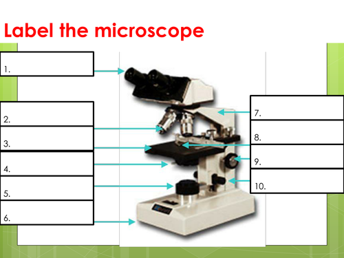 Microscopes: Labelling of light microscopes and difference between light and electron microscopes