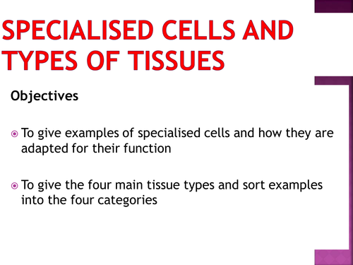 Specialised cells