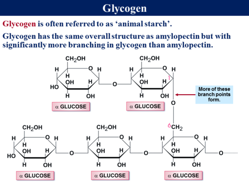 3.1.1 Monomers & Polymers | Teaching Resources