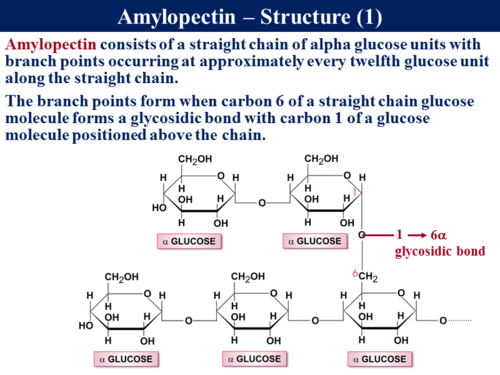 3.1.1 Monomers & Polymers | Teaching Resources