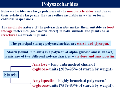 3.1.1 Monomers & Polymers | Teaching Resources