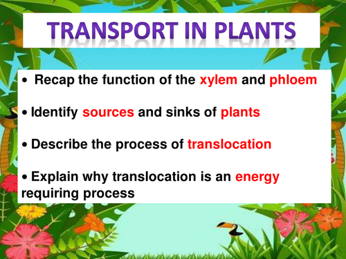 Transport in plants, including translocation