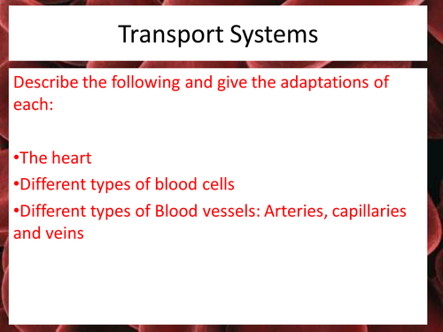 The heart, blood cells, blood vessels and their adaptations