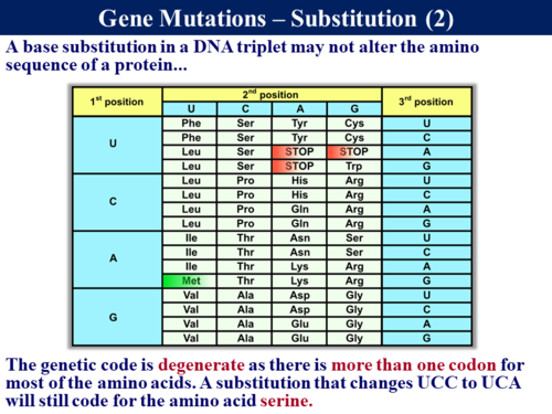BioA_3.4.3 Gene Mutations | Teaching Resources