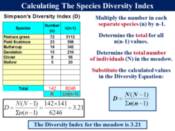 3.4.6 Biodiversity - Species Diversity Index (AQA, Edexcel & WJEC