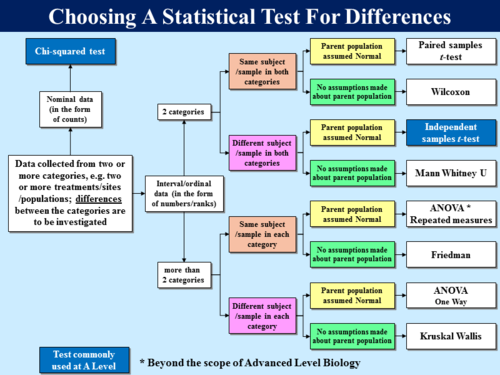 BioA_3.4.7.3 Statistics Tests - Introduction (Probability & Hypothesis ...