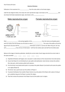 Selective Pollination Worksheet Year 8 | Teaching Resources