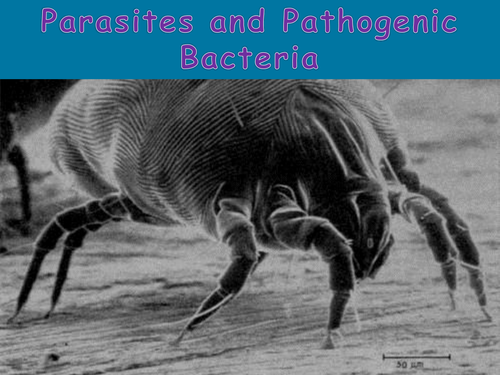 Parasites and pathogenic bacteria suitable for A Level and BTEC Biology; Presentation and activities