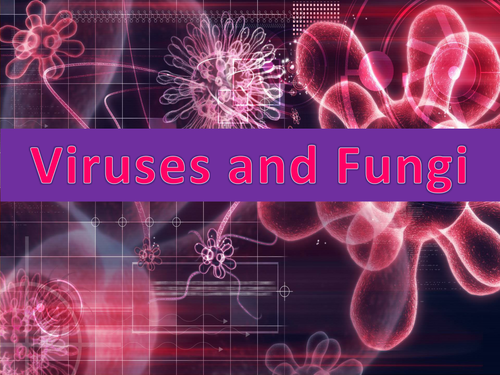 Fungi and Viruses: Presentation and activities for GCSE, A Level and BTEC Biology.