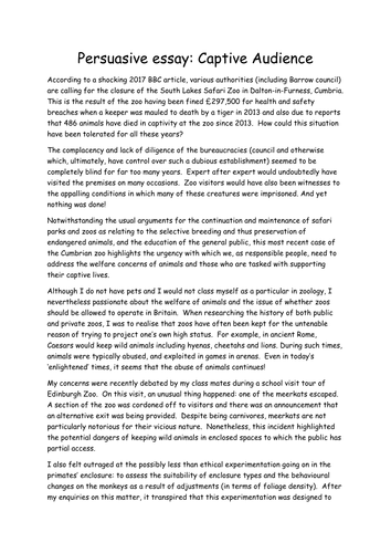 Reflective essay examples image