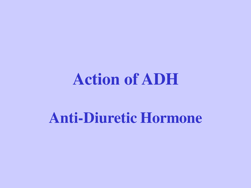 Osmoregulation for A Level - a detailed presentation on the role of ADH