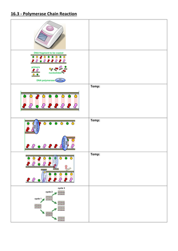 docx, 991.48 KB