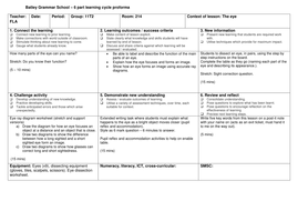 The eye (with dissection) | Teaching Resources