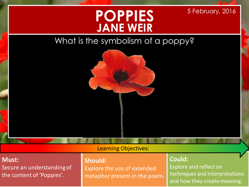 Poppies - Jane Weir (Edexcel Conflict Poetry Cluster GCSE 1-9)