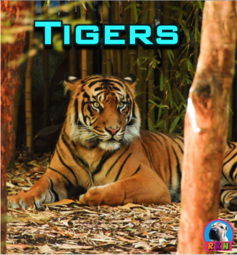 Tigers - Powerpoint & Activities
