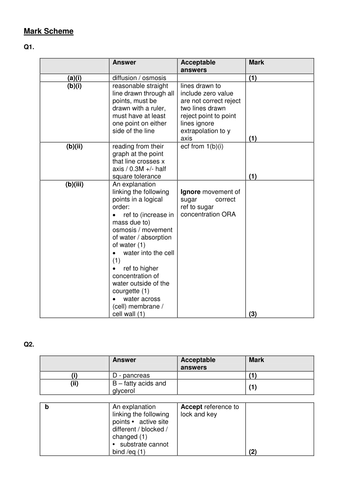 docx, 893.05 KB