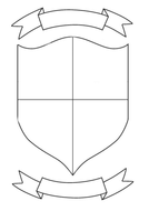 Identity shield reviews