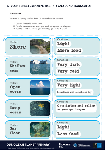 UK ocean habitats KS2 Science | Teaching Resources