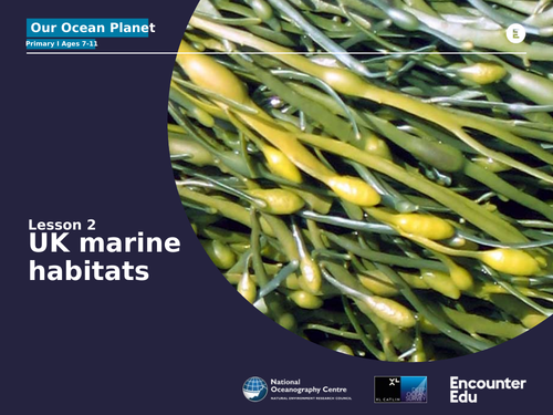 UK ocean habitats KS2 Science | Teaching Resources
