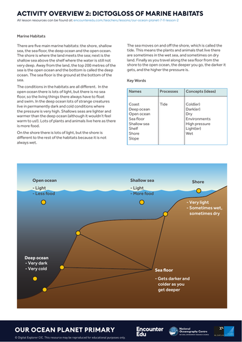 UK ocean habitats KS2 Science | Teaching Resources
