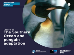 Adaptation in the Antarctic KS2 Science | Teaching Resources