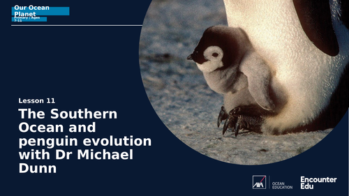 Evolution and penguins KS2 Science | Teaching Resources