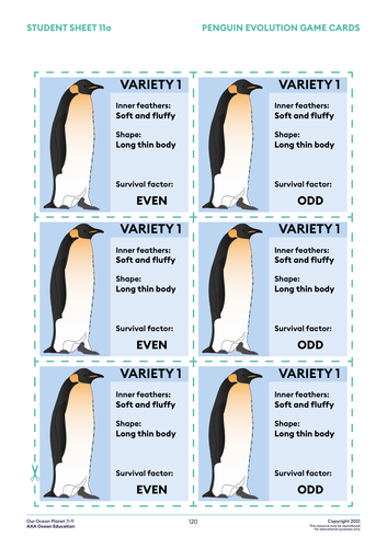 Evolution and penguins KS2 Science | Teaching Resources