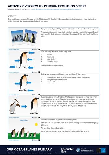 Evolution and penguins KS2 Science | Teaching Resources