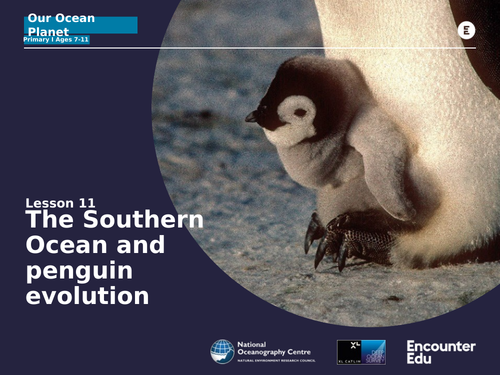 Evolution and penguins KS2 Science | Teaching Resources