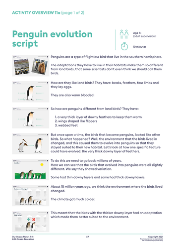 Evolution and penguins KS2 Science | Teaching Resources