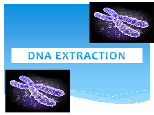 DNA Extraction