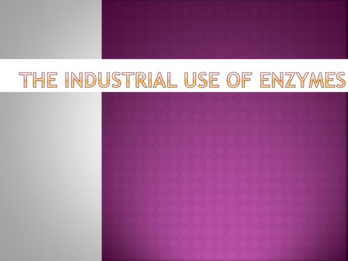 The use of enzymes in industry - Bread and Cheese production