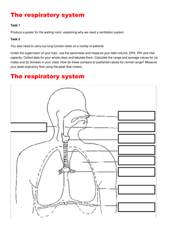 The respiratory system: PPT and Booklet: Breathing, gas exchange, Fick's Law. 2 RESOURCES
