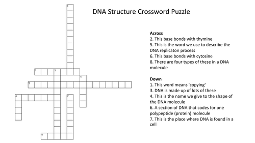 DNA Structure Crossword Puzzle (With Answers) Teaching Resources