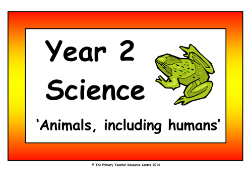 Year 2 Science Vocabulary Cards