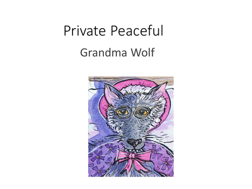 Private Peaceful | Teaching Resources