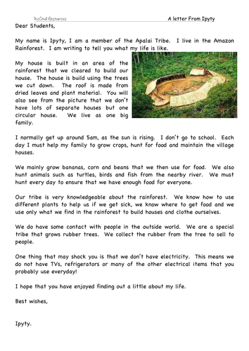 4 rainforest and plants comprehension texts and questions by jmcmeekin