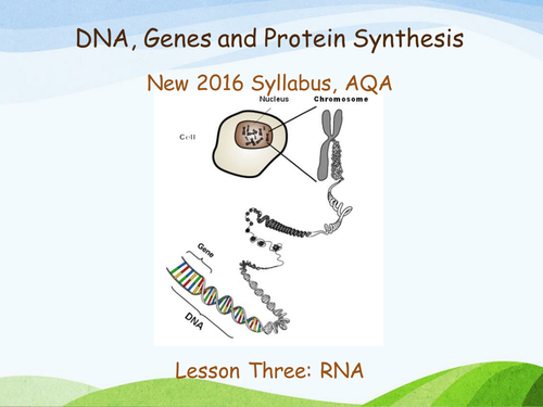 New AQA (2016) Year 1 Biology (AS) Unit 4 Flipped Learning | Teaching ...
