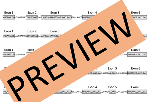 New AQA (2016) Year 1 Biology (AS) - Transcription and Splicing ...