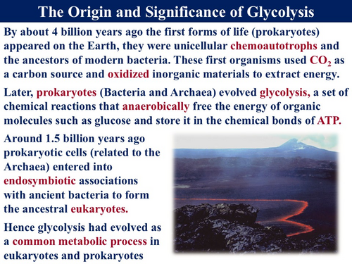 JPG, 232.47 KB