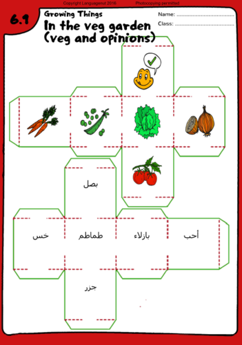 arabic worksheets sentence building dice teaching resources