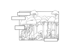Rainforests | Teaching Resources