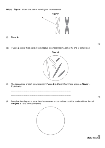 New AQA (2016) Year 1 Biology (AS) - Meiosis - Flipped Learning ...