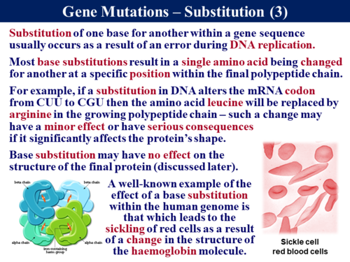 3.8.1 Gene and Chromosomal Mutations | Teaching Resources
