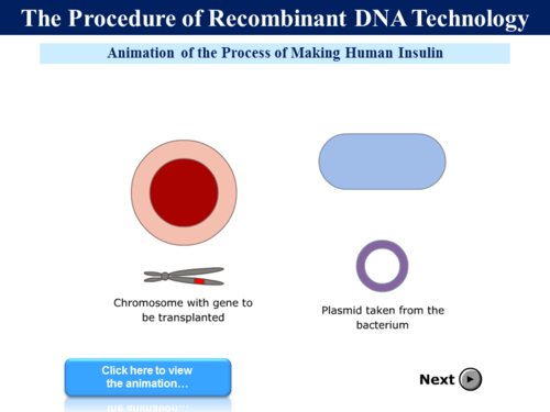 .1 Recombinant DNA Technology - 1 (Genetic Engineering) Vectors,  Plasmids/Transgenics/Pharming | Teaching Resources